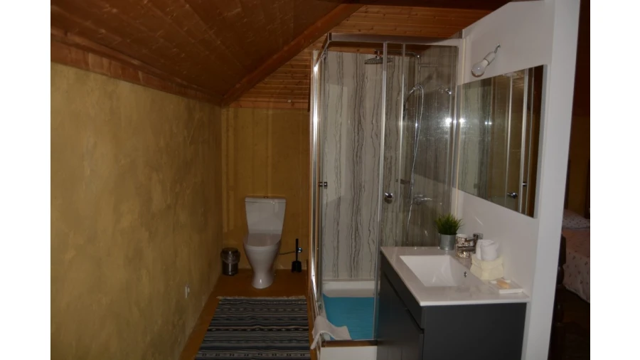 Quinta T5 para Venda em Caldelas, Sequeiros e Paranhos Foto 62