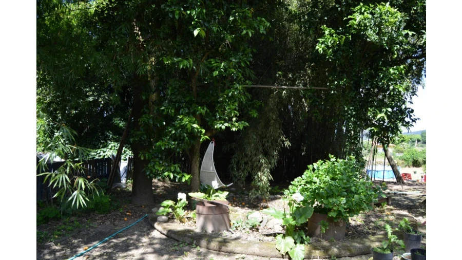 Quinta T5 para Venda em Caldelas, Sequeiros e Paranhos Foto 66