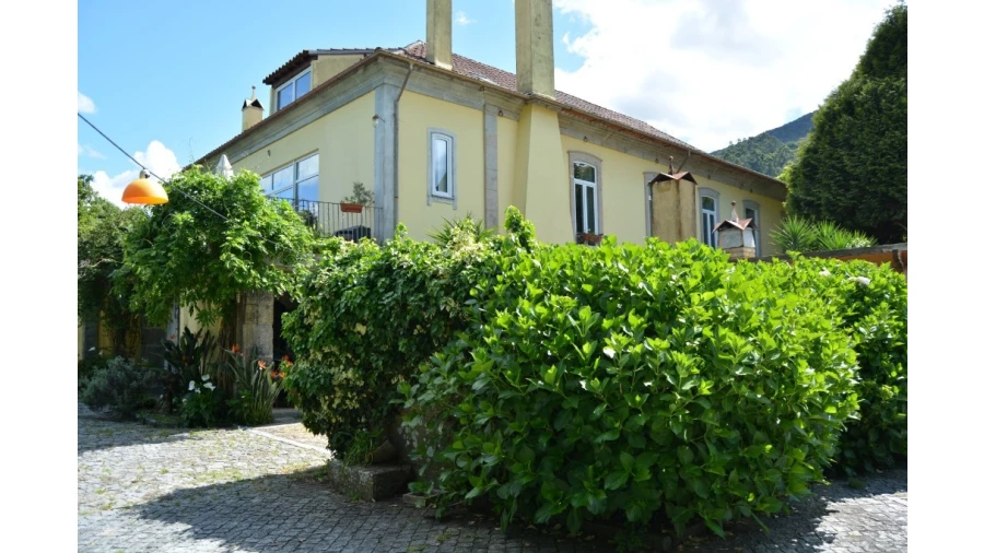 Quinta T5 para Venda em Caldelas, Sequeiros e Paranhos Foto 55