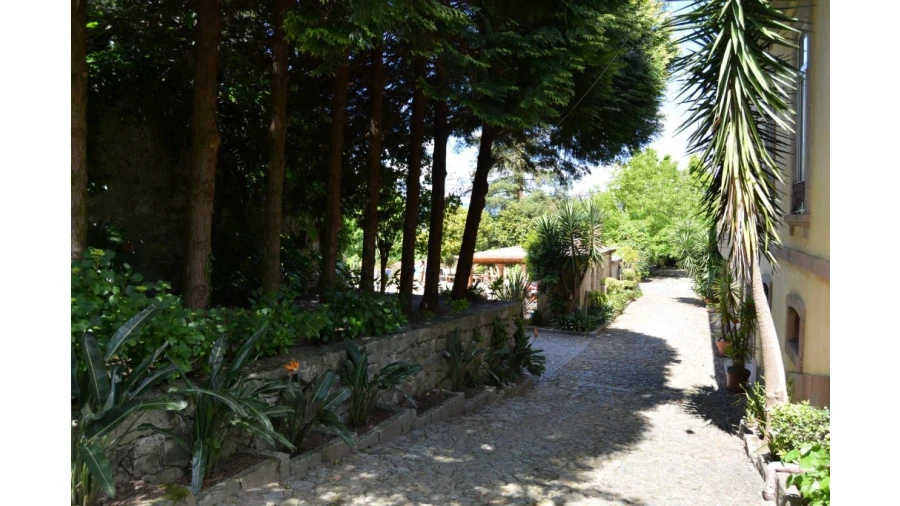 Quinta T5 para Venda em Caldelas, Sequeiros e Paranhos Foto 51