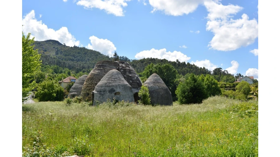 Quinta T5 para Venda em Caldelas, Sequeiros e Paranhos Foto 71