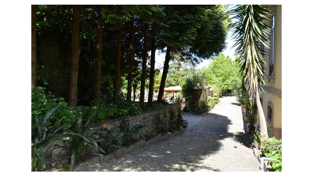 Quinta T5 para Venda em Caldelas, Sequeiros e Paranhos Foto 51