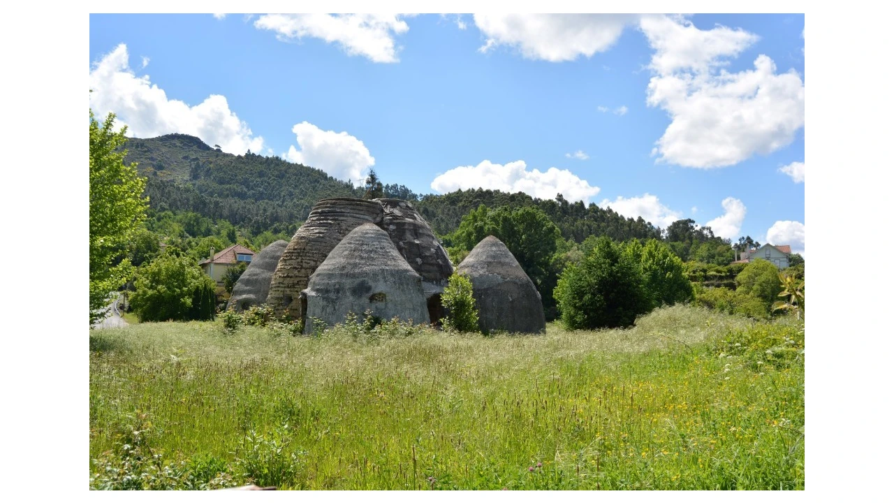 Quinta T5 para Venda em Caldelas, Sequeiros e Paranhos Foto 71