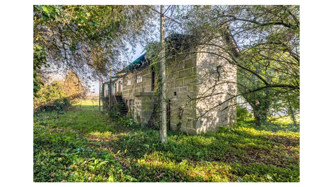 Quinta para Venda em Santo Emilião Foto 17