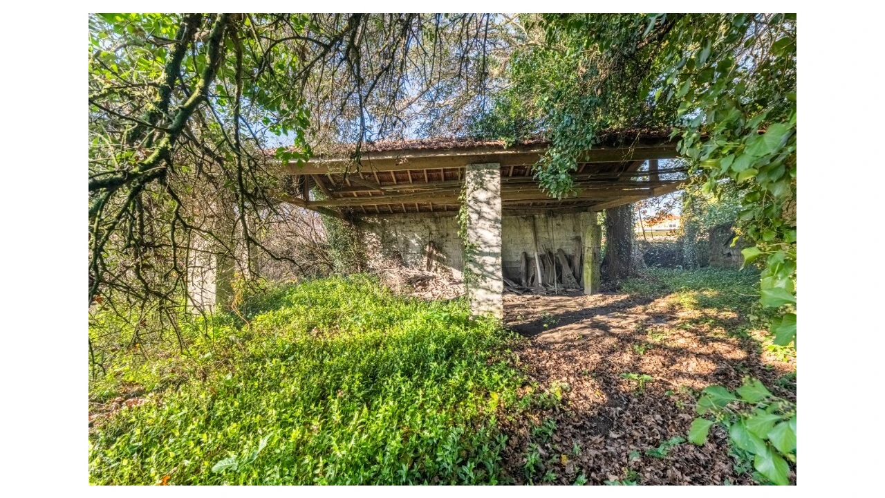 Quinta para Venda em Santo Emilião Foto 16