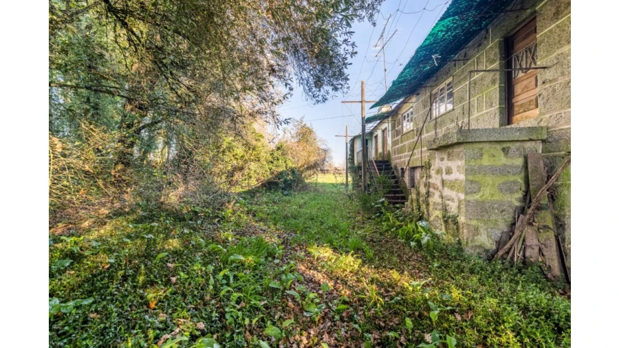 Quinta para Venda em Santo Emilião Foto 18