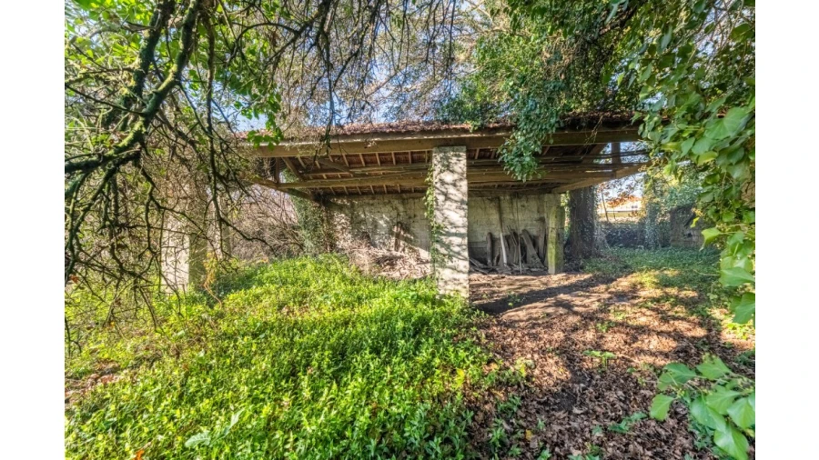 Quinta para Venda em Santo Emilião Foto 16