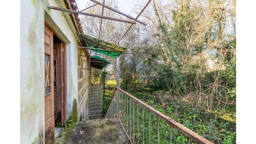 Quinta para Venda em Santo Emilião Foto 14