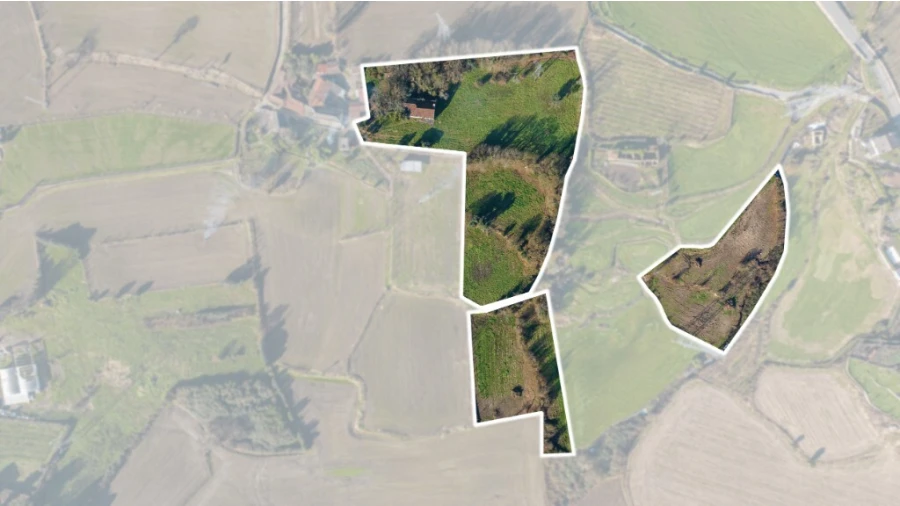 Quinta para Venda em Santo Emilião Foto 22