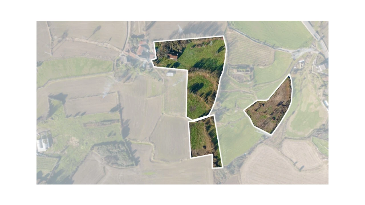 Quinta para Venda em Santo Emilião Foto 22