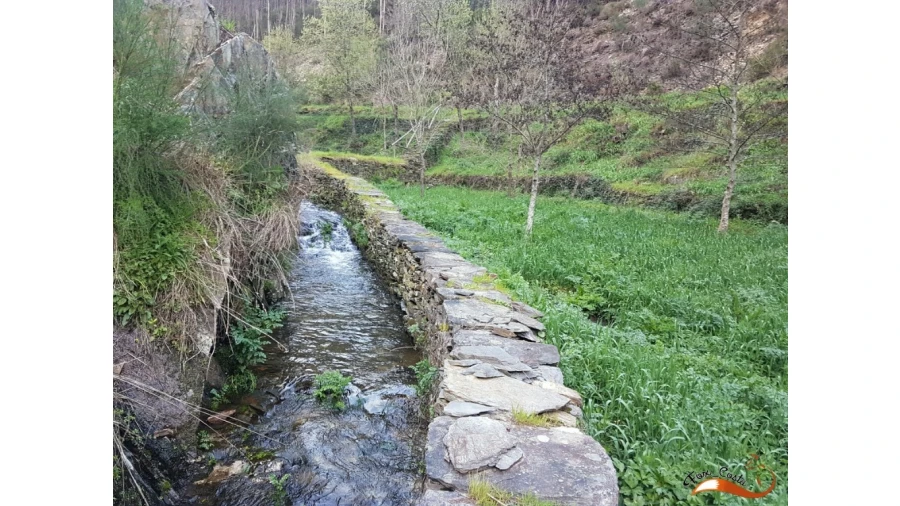 Terreno para Venda em Lorvão Foto 4
