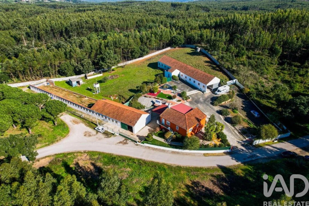 Moradia T3 para Venda em Alcobertas Foto 3