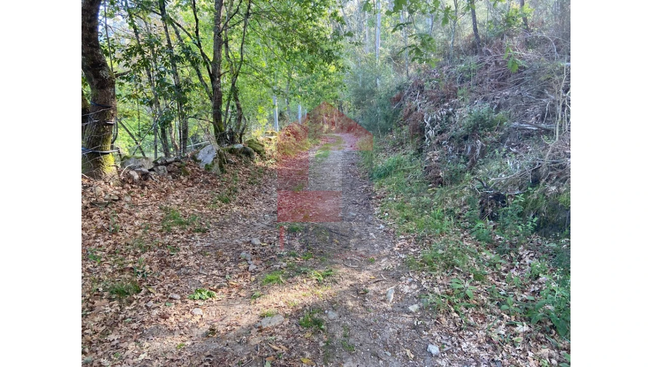 Moradia para Venda em Valbom (São Pedro), Passô e Valbom (São Martinho) Foto 36