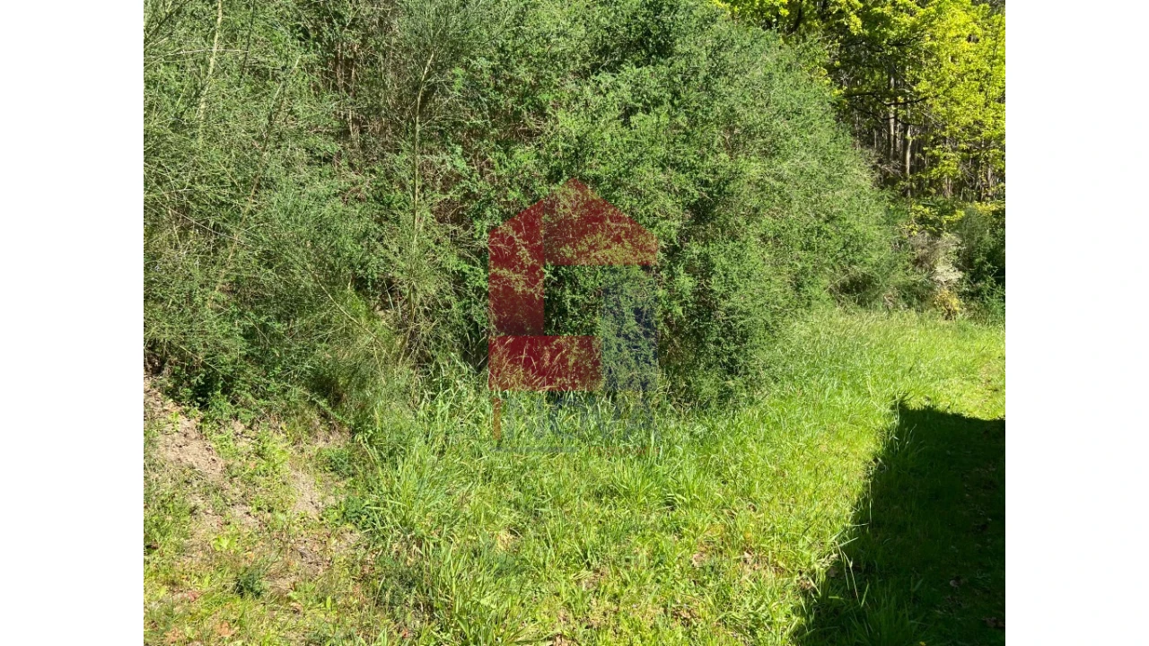 Moradia para Venda em Valbom (São Pedro), Passô e Valbom (São Martinho) Foto 25