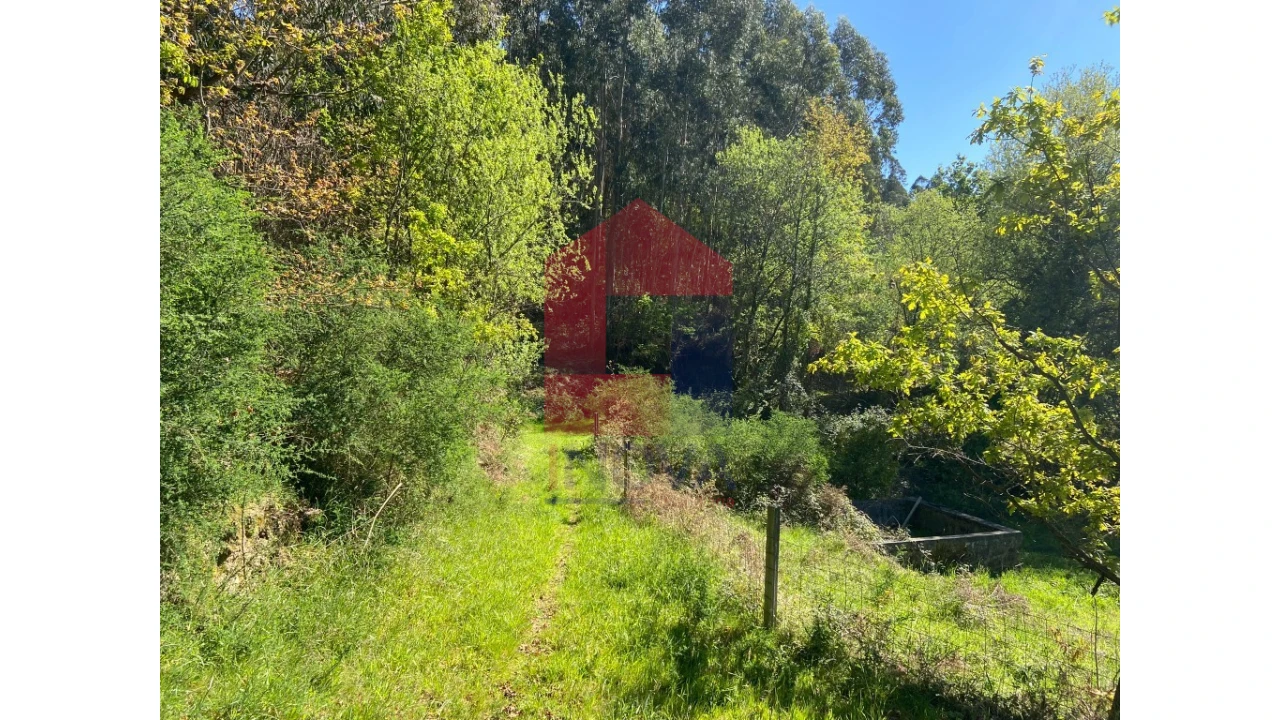 Moradia para Venda em Valbom (São Pedro), Passô e Valbom (São Martinho) Foto 33