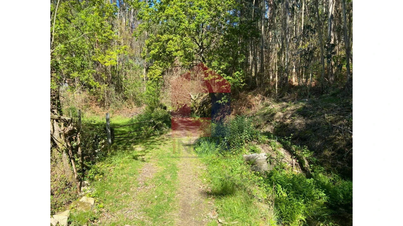 Moradia para Venda em Valbom (São Pedro), Passô e Valbom (São Martinho) Foto 35