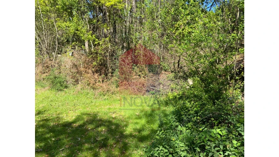 Moradia para Venda em Valbom (São Pedro), Passô e Valbom (São Martinho) Foto 17