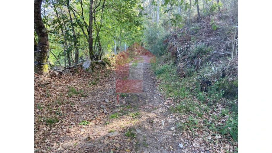 Moradia para Venda em Valbom (São Pedro), Passô e Valbom (São Martinho) Foto 36