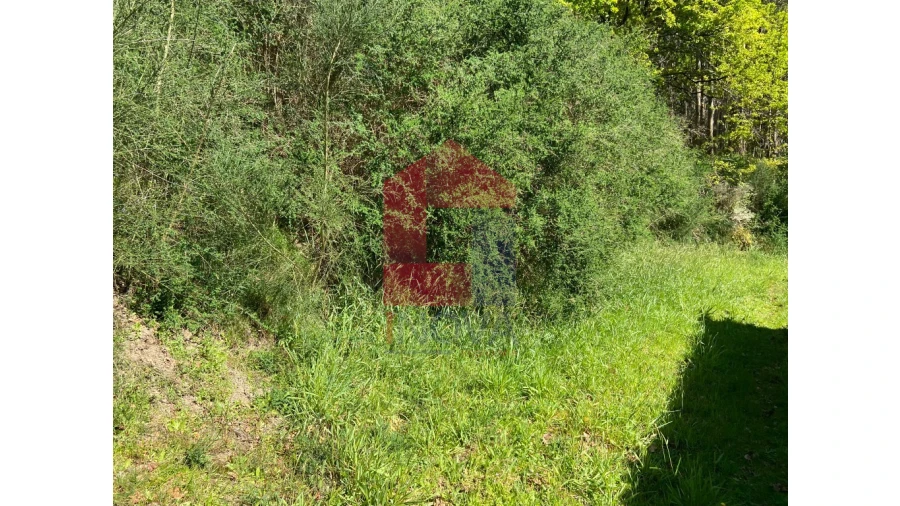 Moradia para Venda em Valbom (São Pedro), Passô e Valbom (São Martinho) Foto 25