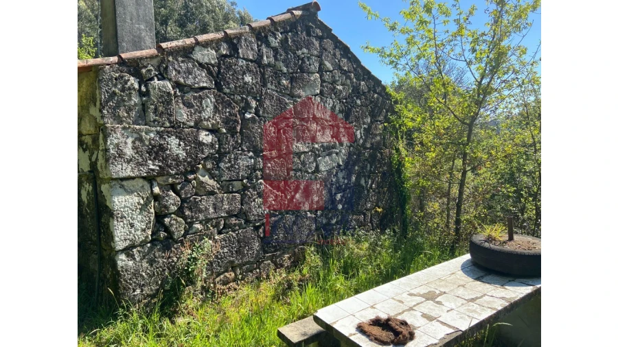 Moradia para Venda em Valbom (São Pedro), Passô e Valbom (São Martinho) Foto 4