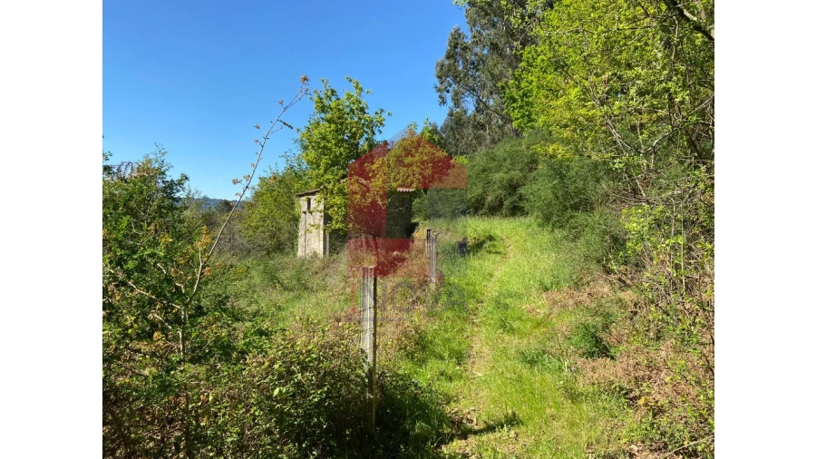 Moradia para Venda em Valbom (São Pedro), Passô e Valbom (São Martinho) Foto 29
