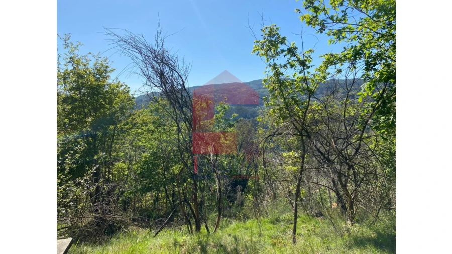 Moradia para Venda em Valbom (São Pedro), Passô e Valbom (São Martinho) Foto 18