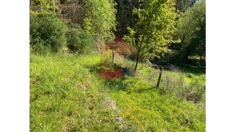 Moradia para Venda em Valbom (São Pedro), Passô e Valbom (São Martinho) Foto 26