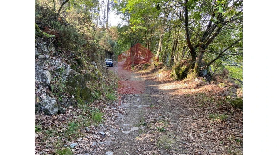 Moradia para Venda em Valbom (São Pedro), Passô e Valbom (São Martinho) Foto 37