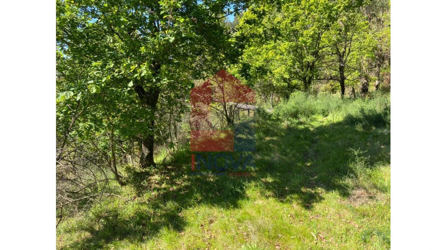 Moradia para Venda em Valbom (São Pedro), Passô e Valbom (São Martinho) Foto 24