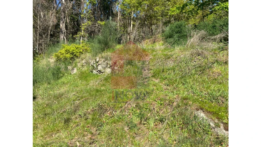 Moradia para Venda em Valbom (São Pedro), Passô e Valbom (São Martinho) Foto 21