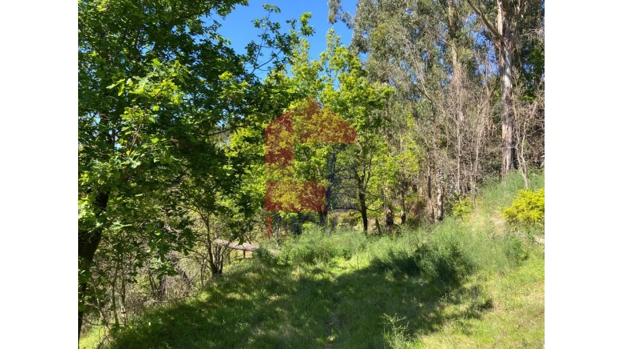 Moradia para Venda em Valbom (São Pedro), Passô e Valbom (São Martinho) Foto 23