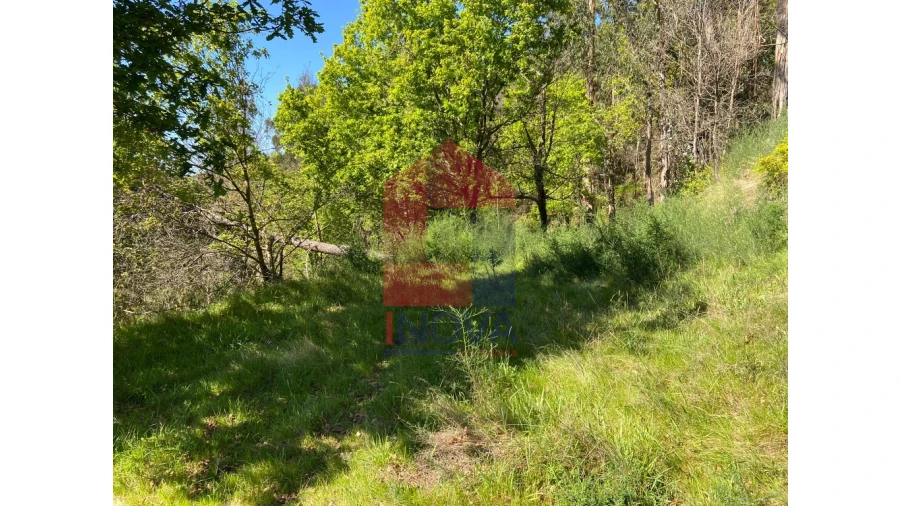 Moradia para Venda em Valbom (São Pedro), Passô e Valbom (São Martinho) Foto 20