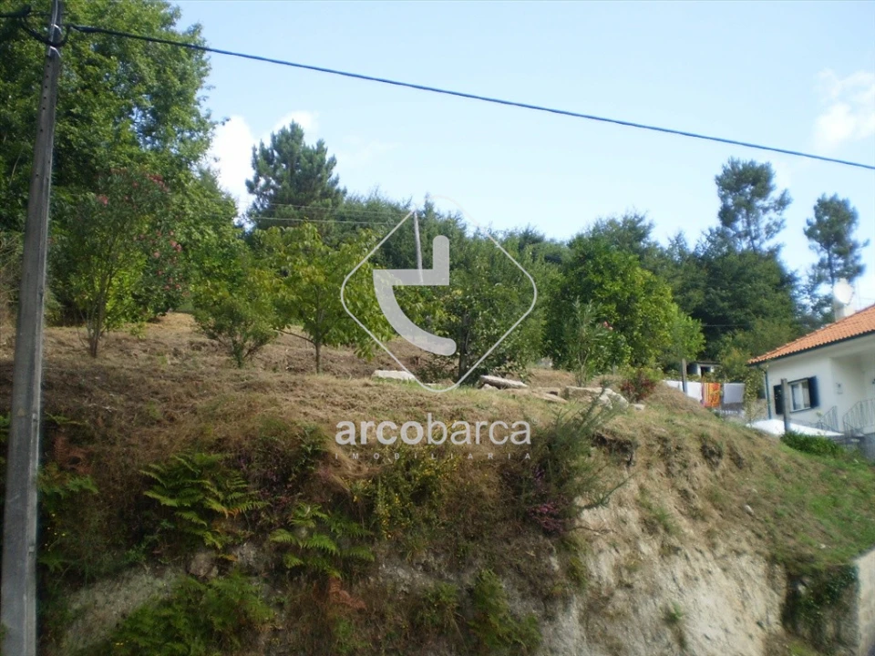Terreno para Venda em Souto e Tabaçô Foto 10