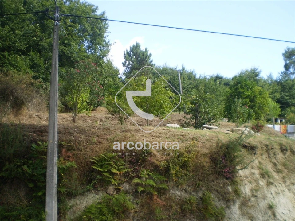 Terreno para Venda em Souto e Tabaçô Foto 11