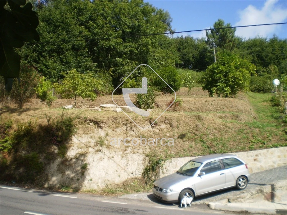 Terreno para Venda em Souto e Tabaçô Foto 12