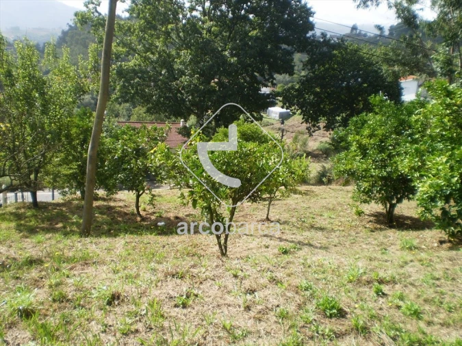 Terreno para Venda em Souto e Tabaçô Foto 6
