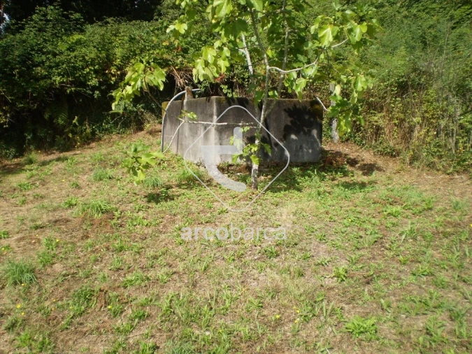 Terreno para Venda em Souto e Tabaçô Foto 5