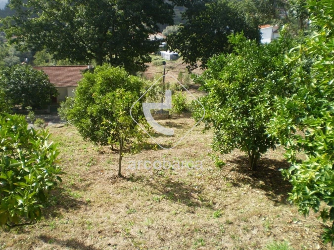 Terreno para Venda em Souto e Tabaçô Foto 2