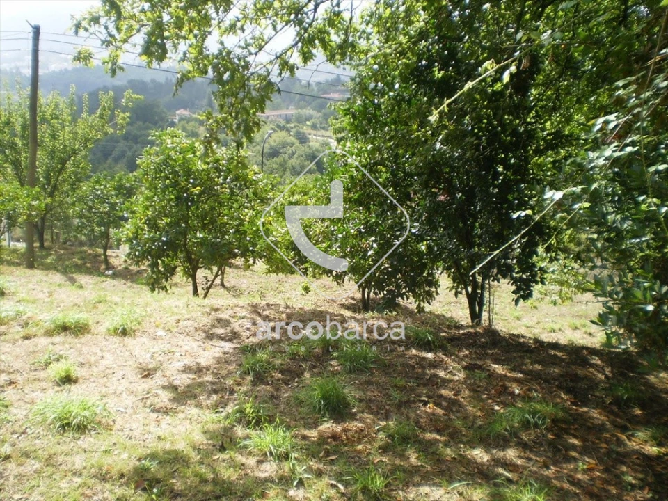 Terreno para Venda em Souto e Tabaçô Foto 8