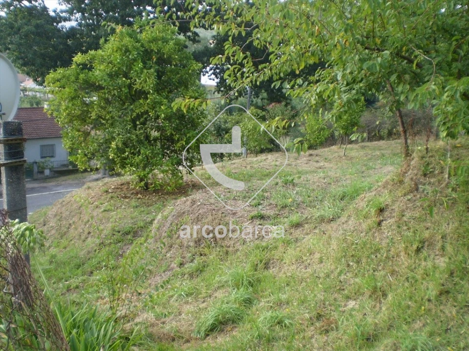 Terreno para Venda em Souto e Tabaçô Foto 3