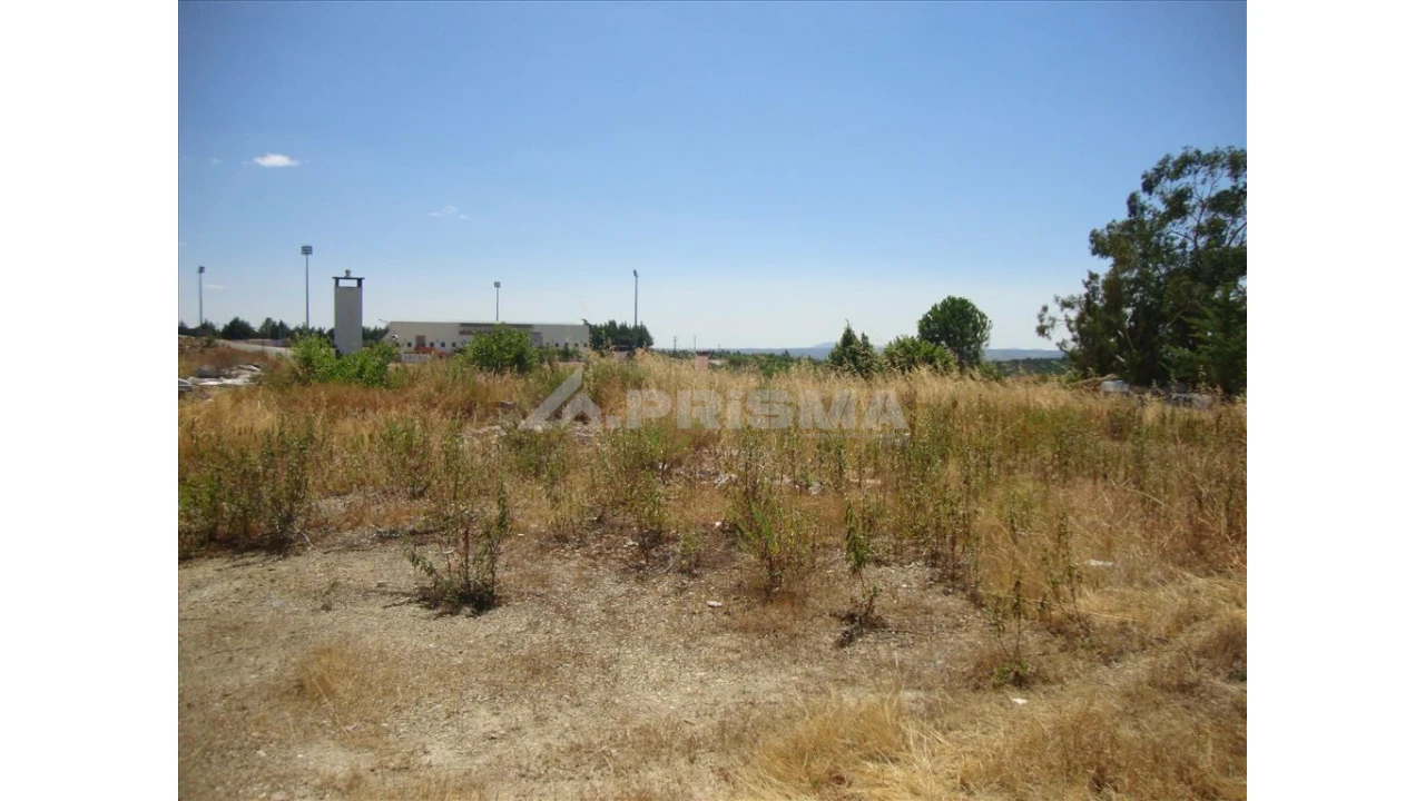 Terreno para Venda em Castelo Branco Foto 1