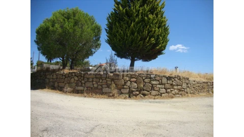 Terreno para Venda em Castelo Branco
