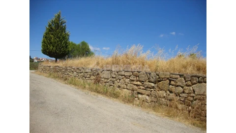 Terreno para Venda em Castelo Branco