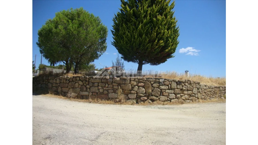 Terreno para Venda em Castelo Branco Foto 8