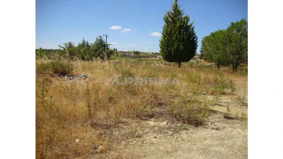 Terreno para Venda em Castelo Branco Foto 3