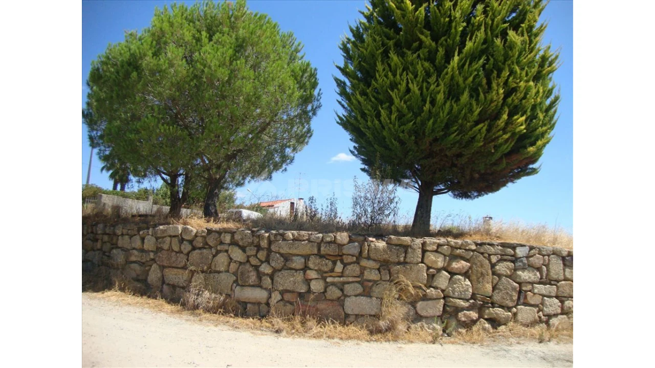 Terreno para Venda em Castelo Branco Foto 5