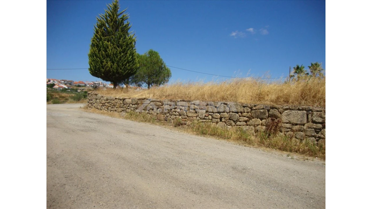 Terreno para Venda em Castelo Branco Foto 6