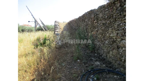 Terreno para Venda em Cebolais de Cima e Retaxo