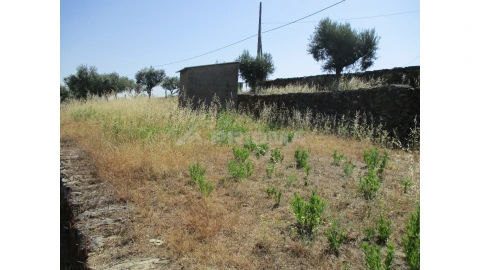 Terreno para Venda em Cebolais de Cima e Retaxo