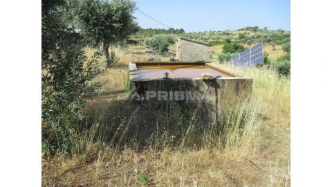 Terreno para Venda em Cebolais de Cima e Retaxo